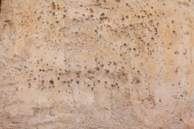 Sandy duvar içinde Dubai, İngiltere