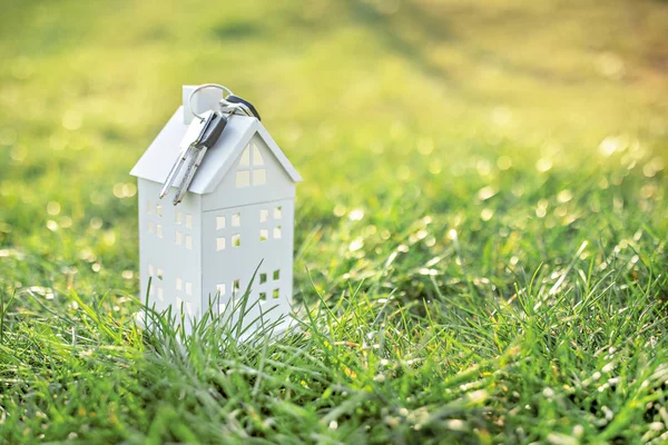 keys and a metal house on a background of grass. Close-up.