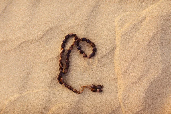 Розарій на піску в пустелі. Рамадан Карім — стокове фото