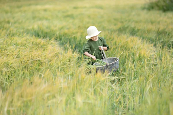 Menina Feliz Andando Trigo Dourado Apreciando Vida Campo Beleza Natureza — Fotografia de Stock