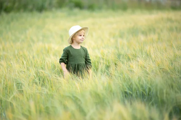 金色の小麦の中を歩く幸せな女の子は フィールドでの生活を楽しんでいます 自然の美しさと小麦の畑 家族のアウトドアライフスタイル 自由の概念 夏のフィールドでかわいい女の子 — ストック写真