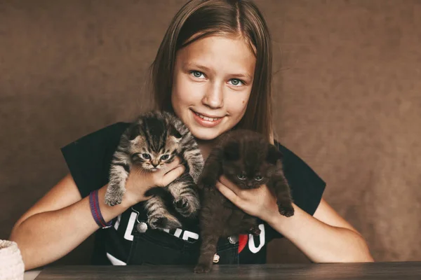 Dítě má nádherné britské koťátka různých barev v rukou — Stock fotografie