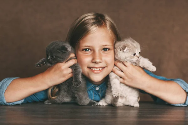 Dítě má nádherné britské koťátka různých barev v rukou — Stock fotografie