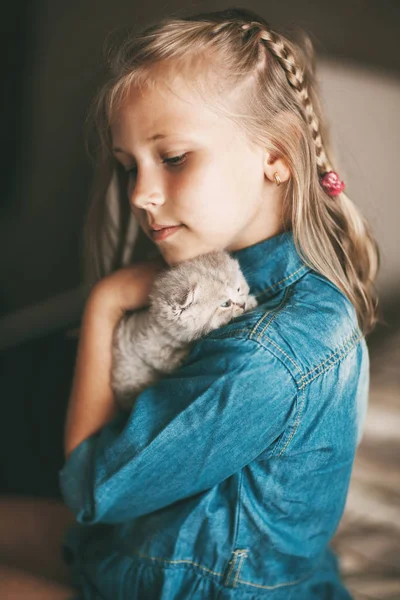 Dívka se ukojí a hraje si s britským kočičkou — Stock fotografie