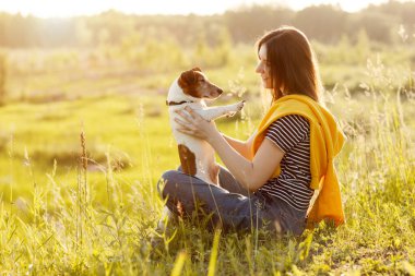 Genç bir kız batan güneşin ışınlarında çimlerin üzerinde oturur ve köpeğini kollarına alır. Köpek gezdirme. Arkadaşlık, bakım, metin için yer