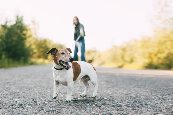 Modern Teen Girl Walking Her Dog Nature Pet Care Friendship — Stock Photo, Image