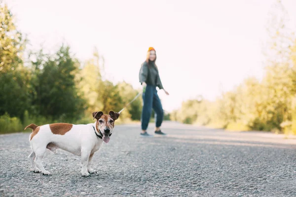 現代の少女は自然に彼女の犬と一緒に歩いている ペット 背景のぼやけ テキストのためのスペース — ストック写真