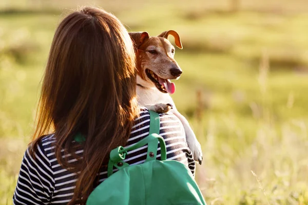 背中に緑のリュックを背負った黒髪の少女と縞模様のTシャツが犬を抱き 草原の草の上に座っている 散歩の後 少女はペットと一緒に休んでいる ビュー テキストのスペース — ストック写真