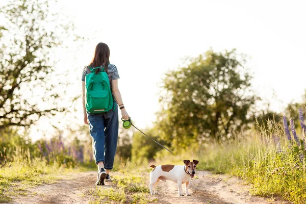 少女は田舎道を犬と一緒に歩いている 犬の散歩 ペットケア 思いやり 生き方 ビュー テキストのスペース — ストック写真