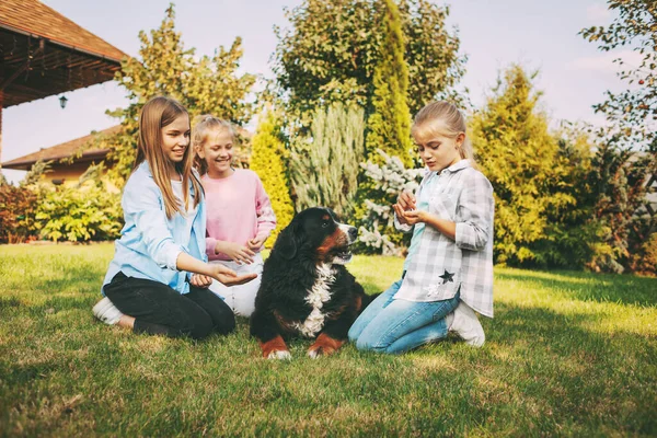 Grupo de meninas adolescentes amamentando, brincando e se divertindo ao ar livre no gramado com seu Bernese Mountain Dog — Fotografia de Stock