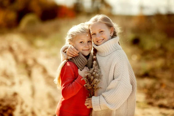 Dos hermanas en suéteres cálidos se abrazan y corren por el sendero en el bosque de otoño. —  Fotos de Stock