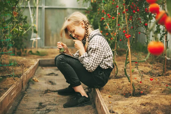 Uma Linda Adolescente Com Tablet Nas Mãos Examina Uma Amostra — Fotografia de Stock