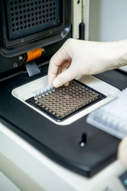 Laboratuvar uzmanı kompozisyon için özel bir cihaz test tüpleri ile test örnekleri yerleştirir