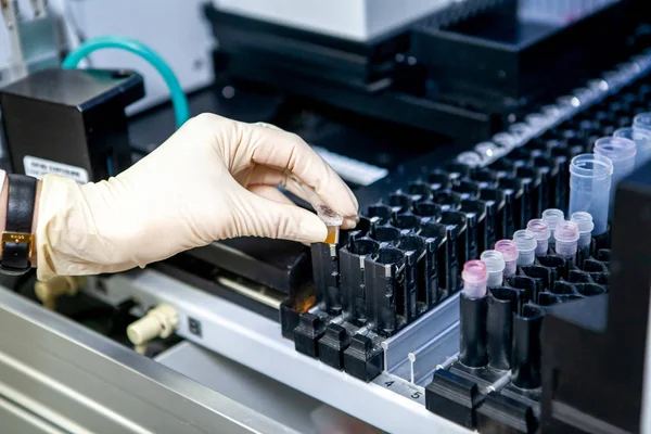 O assistente de laboratório coloca a amostra no aparelho para análise, close-up — Fotografia de Stock