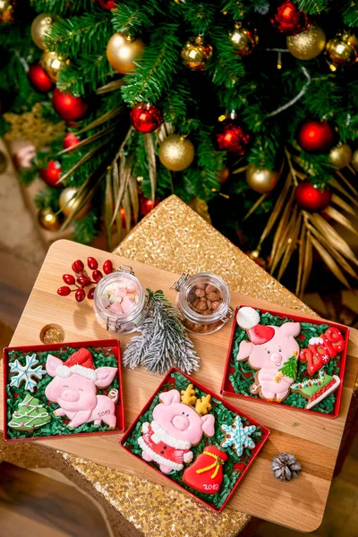 Gingerbread Piggy Carton Box Table Fir Branches Nuts Berries Front — Stock Photo, Image