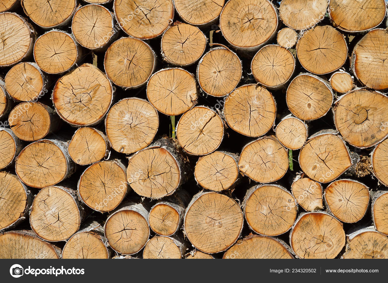 Large Decorative Wall Cropped Birch Logs Stock Photo C Pudiq