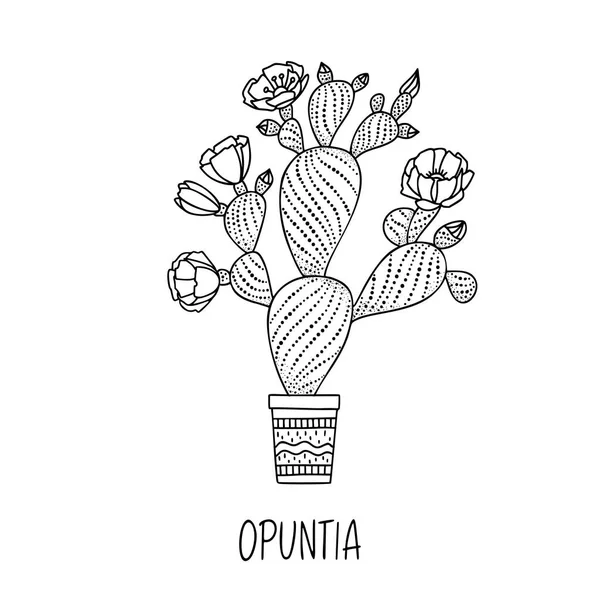 Cactus Opuntia Maceta Decorativa Estilo Garabato Con Título Manuscrito Ilustración Ilustración De Stock