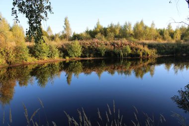   doğa orman nehir sonbahar