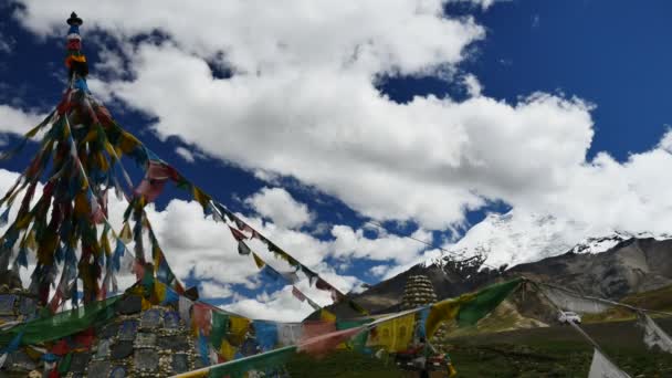 Rango de Lungta y Himalaya Tibet Kailas yatra — Vídeo de stock