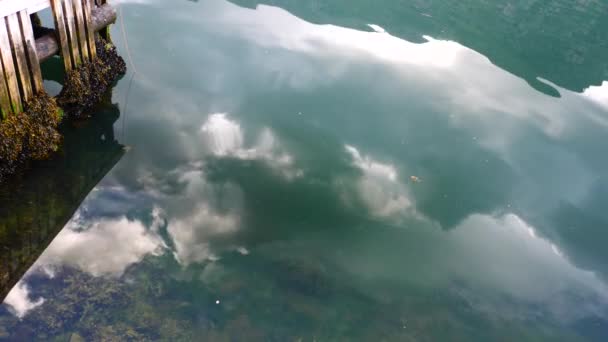 Norge - idealisk fjord reflektion i klart vatten — Stockvideo