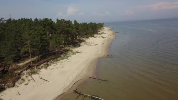 Aerial view of cape Kolka, Baltic sea, Latvia — Stock Video