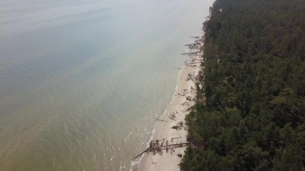 Aerial view of cape Kolka, Baltic sea, Latvia — Stock Video