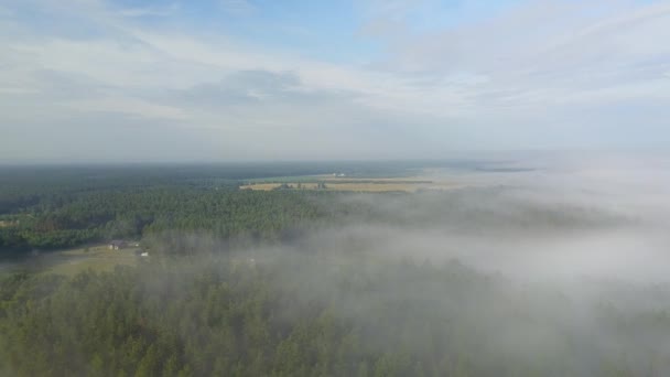 Misty sunrise over countryside path Aerial view Latvia — Stock Video