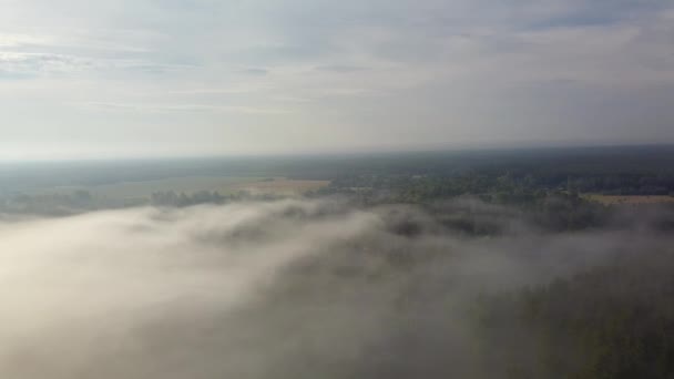 Flygfoto Över Morgondimman Jūrkalne Lettland Sommar Visa — Stockvideo