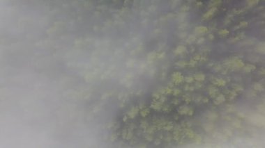 Kırsal yolu havadan görünümü Letonya üzerinden puslu gündoğumu