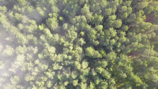 Misty sunrise over countryside path Vista aérea Letonia — Vídeo de stock