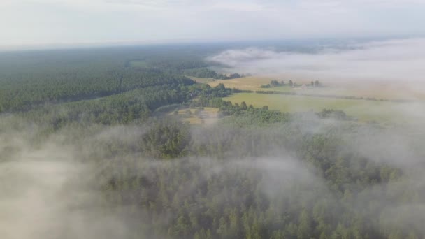 Misty sunrise over countryside path Aerial view Latvia — Stock Video