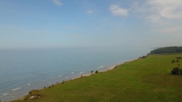 Vista aérea da árvore perto da costa Jurkalne, mar Báltico, Letónia — Vídeo de Stock