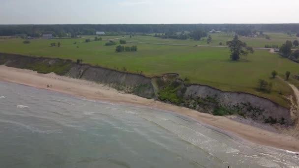 Flygfoto över träd nära kusten Jūrkalne, Östersjön, Lettland — Stockvideo