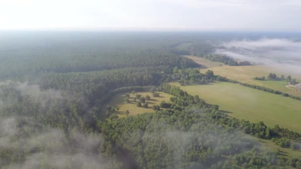 Misty sunrise over countryside path Vista aérea Letonia — Vídeo de stock