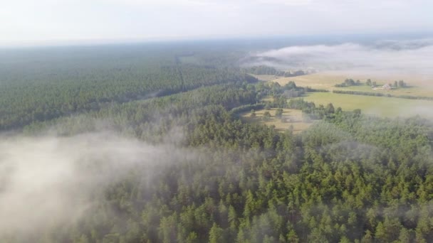 Mistige zonsopgang boven platteland pad luchtfoto Letland — Stockvideo