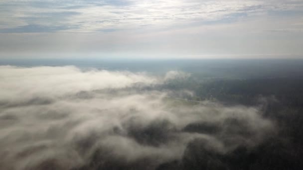 Misty sunrise over countryside path Vue aérienne Lettonie — Video