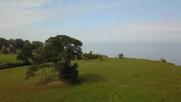 Vista aérea del árbol cerca de la costa Jurkalne, Mar Báltico, Letonia — Vídeo de stock