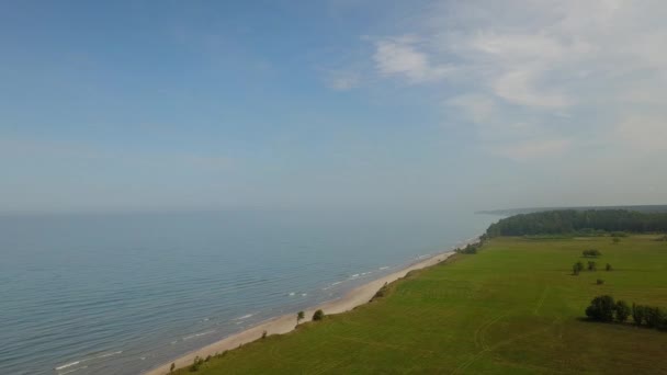 Luchtfoto van de boom in de buurt van de kust Jurkalne, Oostzee, Letland — Stockvideo