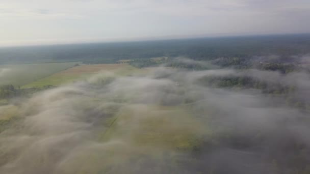 Misty sunrise over countryside path Aerial view Latvia — Stock Video