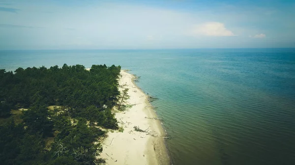 Пташиного польоту мис Колька, Балтійського моря, Латвія — стокове фото