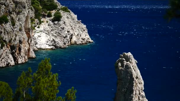 青い海背景トルコと松の木 — ストック動画