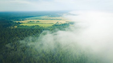 Kırsal yolu havadan görünümü Letonya üzerinden puslu gündoğumu