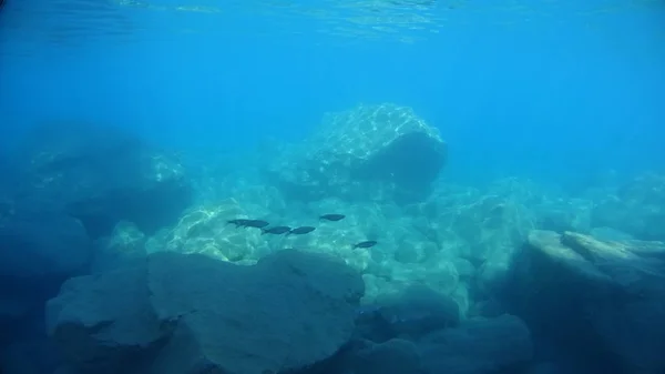 Mer bleue vive sous-marine à laguna Turquie — Photo