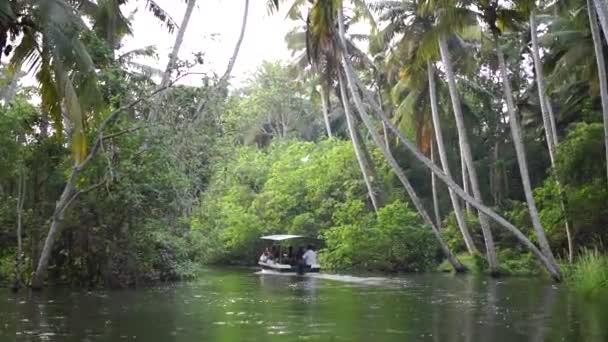 Bateau et palmier backwater en Inde Timelapse