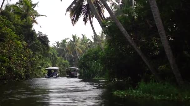 Barco e palmeira backwater na Índia Timelapse — Vídeo de Stock