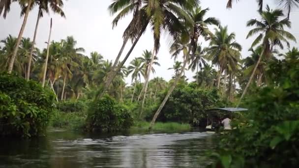 Csónak és pálmafa backwater Indiában Timelapse — Stock videók