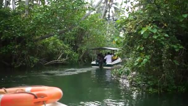 Лодка и пальма захолустье в Индии Timelapse — стоковое видео