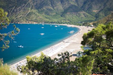 Mavi deniz arka plan Türkiye ile çam ağacı