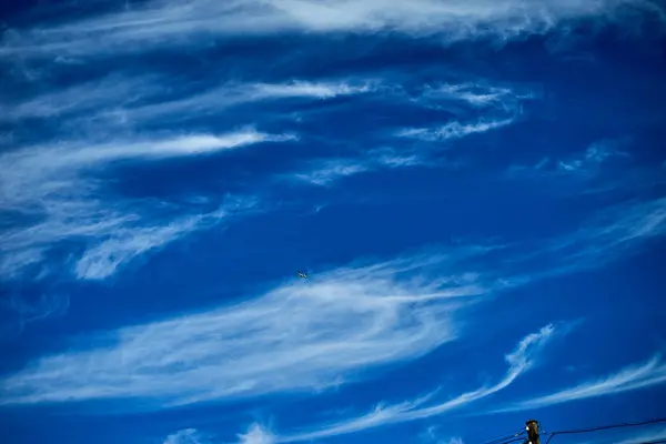 Letadla v modrá obloha letního času — Stock fotografie