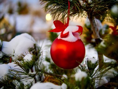 Christmas kırmızı top ve yeşil çam dalı. Noel süsleri.